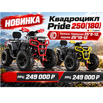 ATV PRIDE 250 (180) LONG (лебёдка, спинка, колеса 12"/12") арт.6381. RED